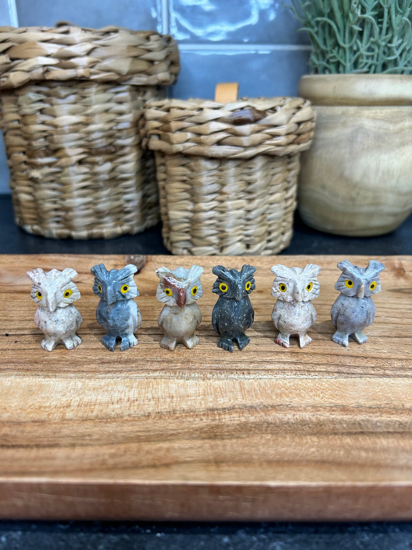 Mini Soapstone Owl Carvings