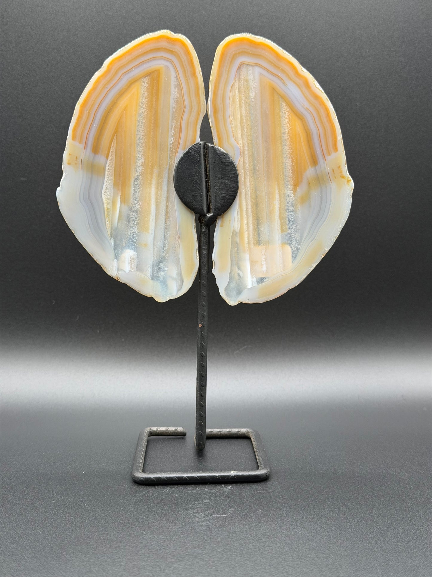 Banded Agate Butterfly Wings