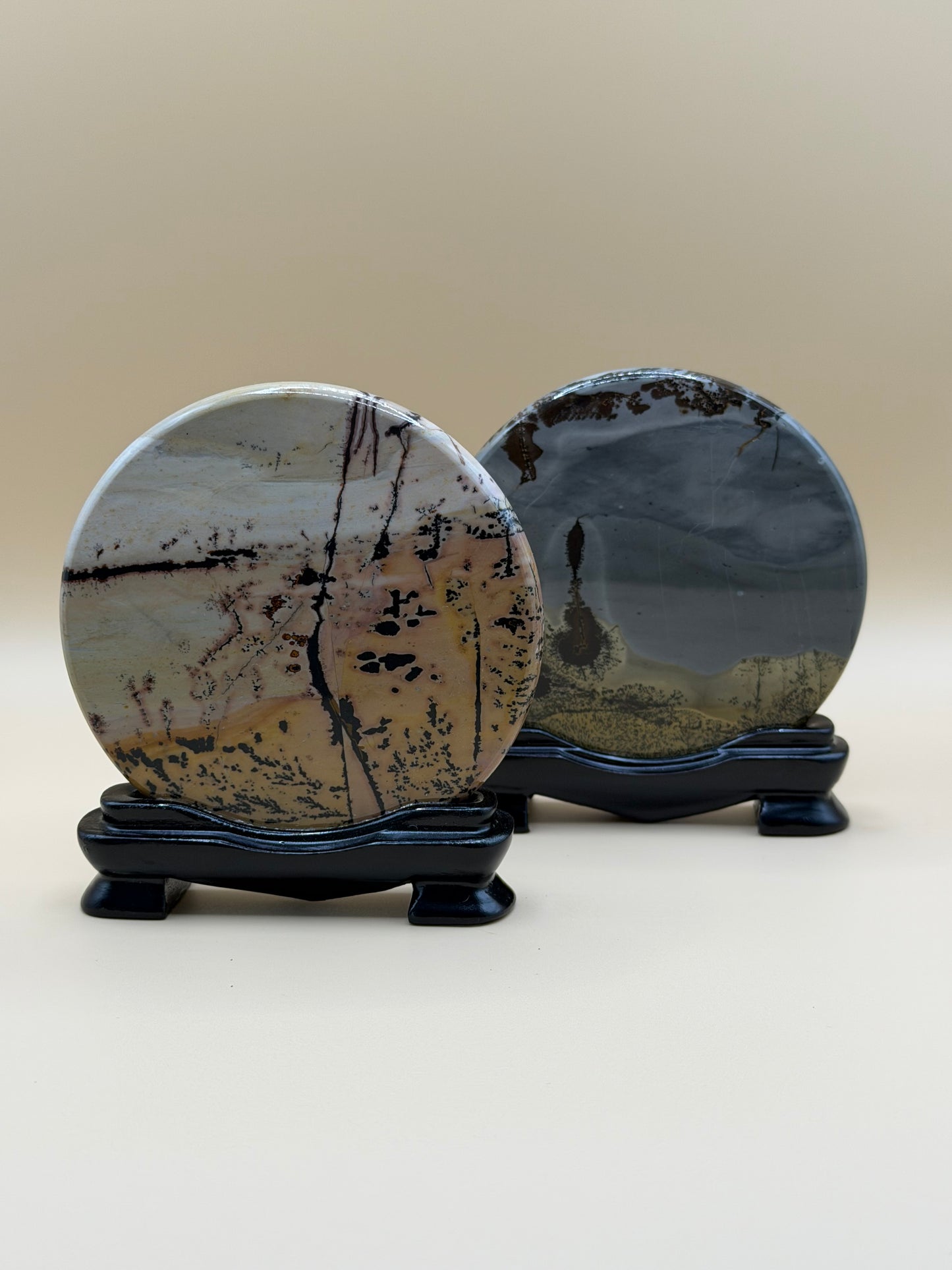 Picture Jasper Medallion