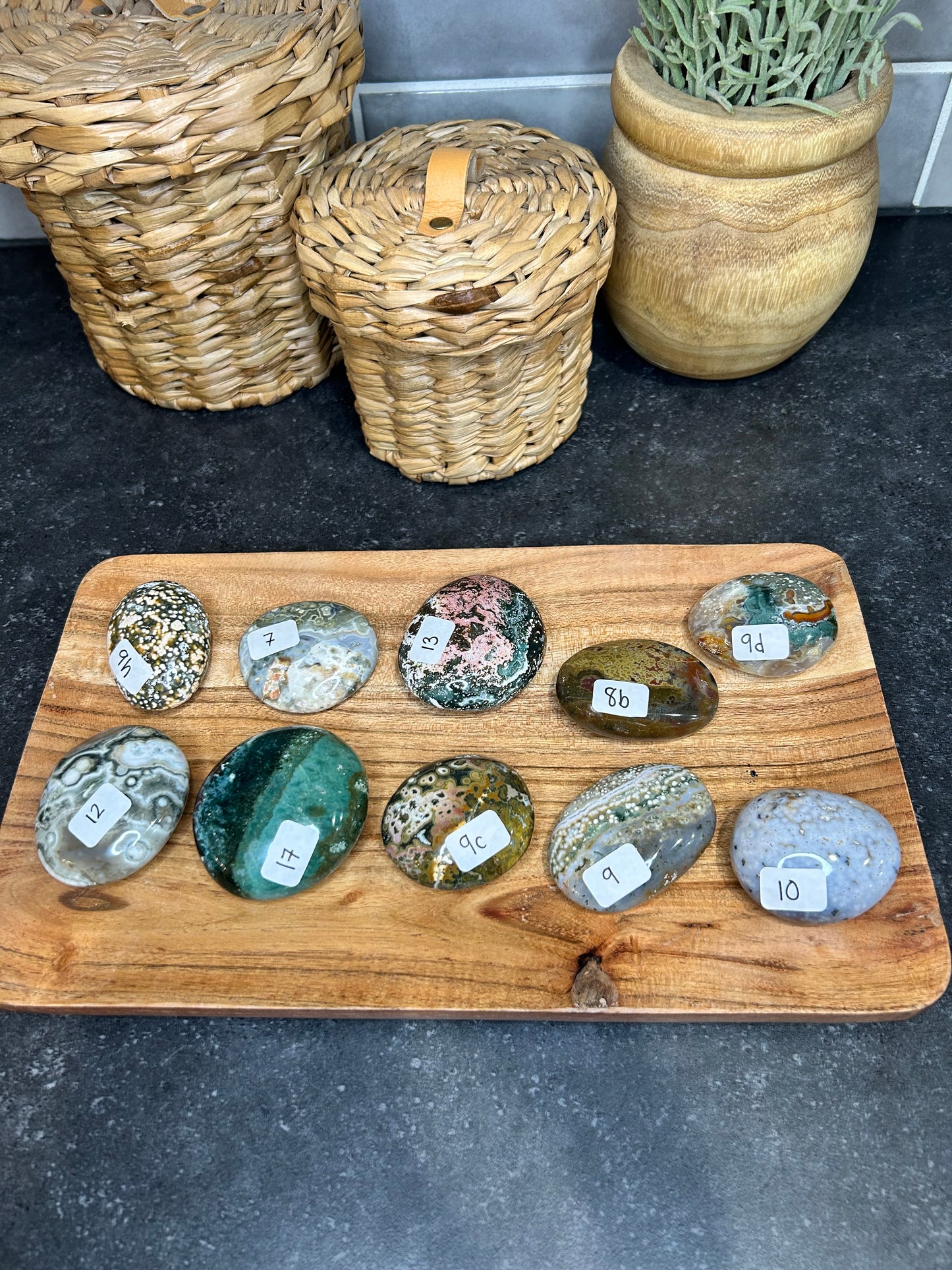 Ocean Jasper Palms