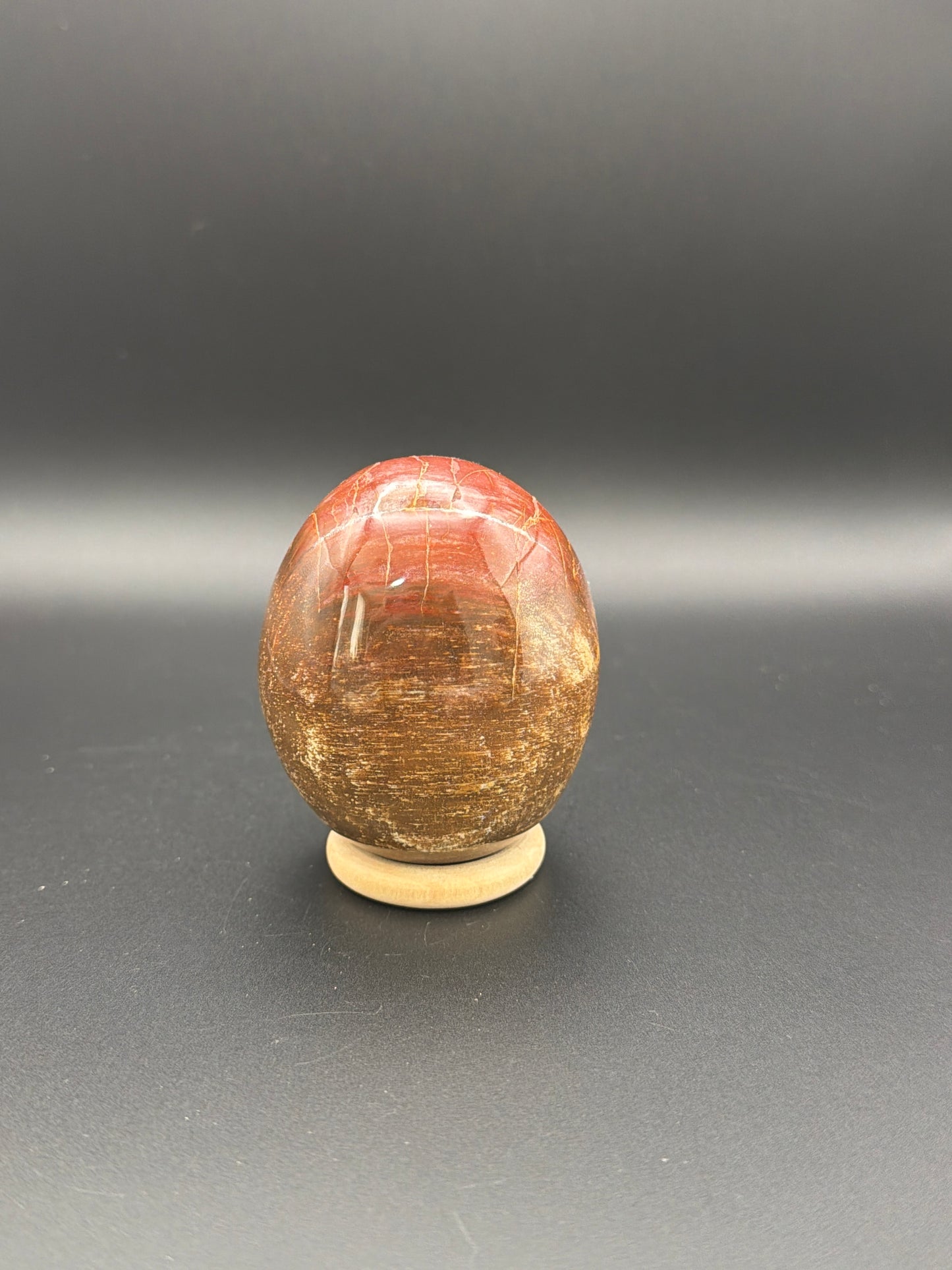 Pink Petrified Wood Freeform