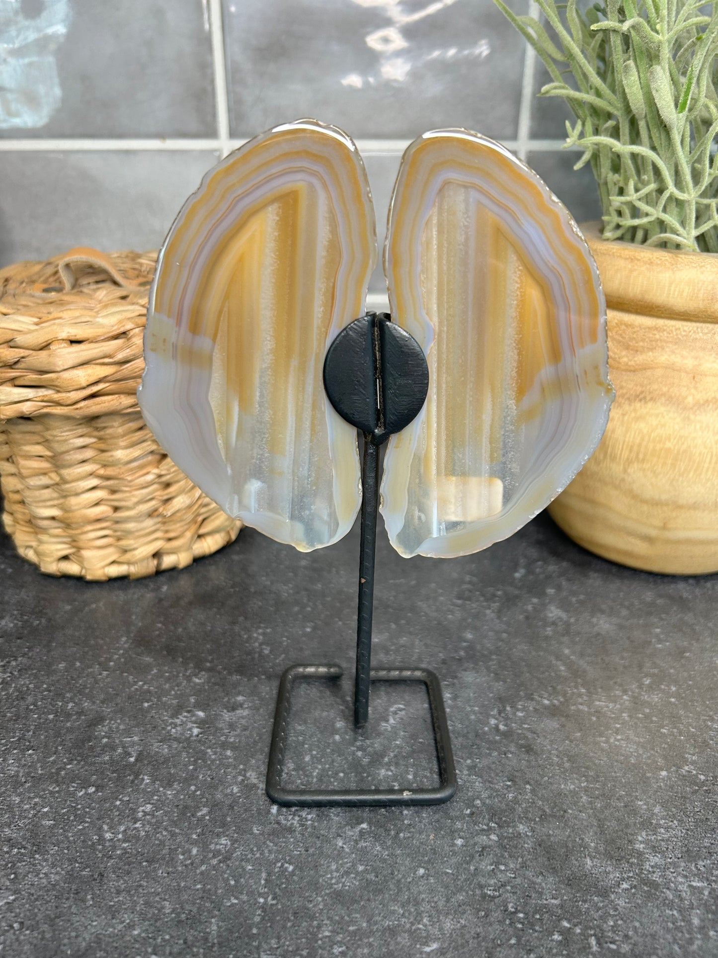 Banded Agate Wings
