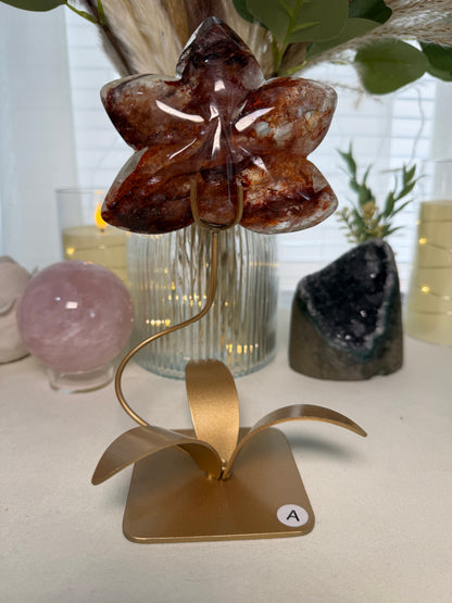 Fire Quartz Orchid | Option A