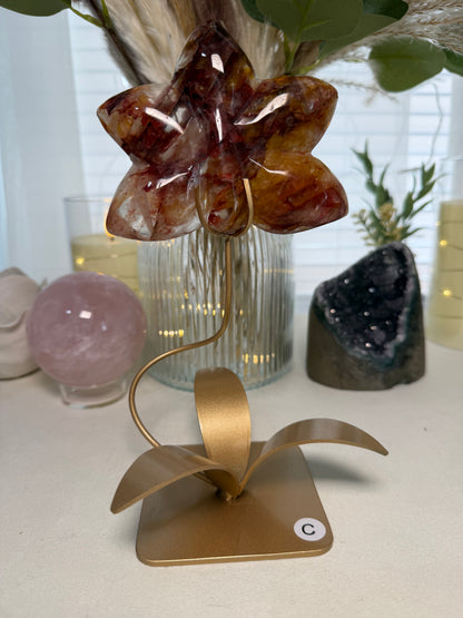 Fire Quartz Orchid | Option C