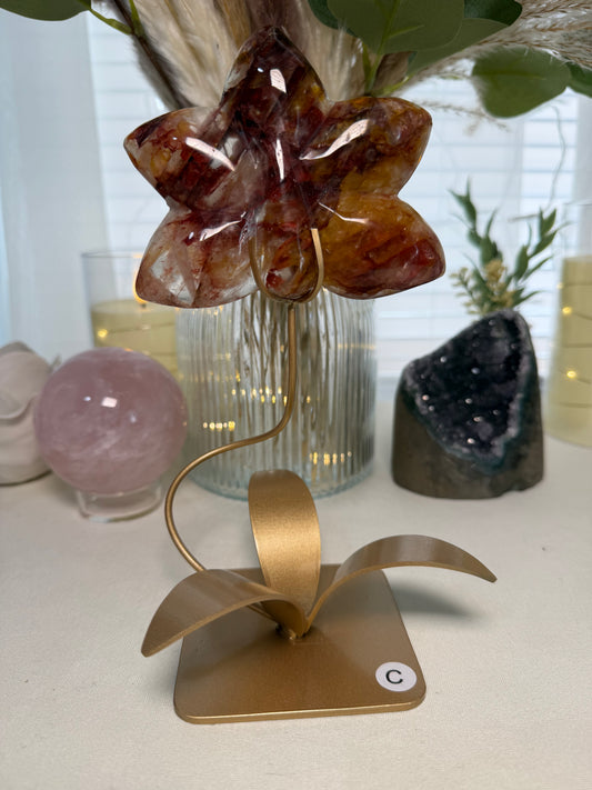 Fire Quartz Orchid | Option C