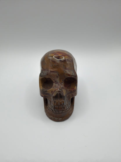 Golden Pietersite Skull