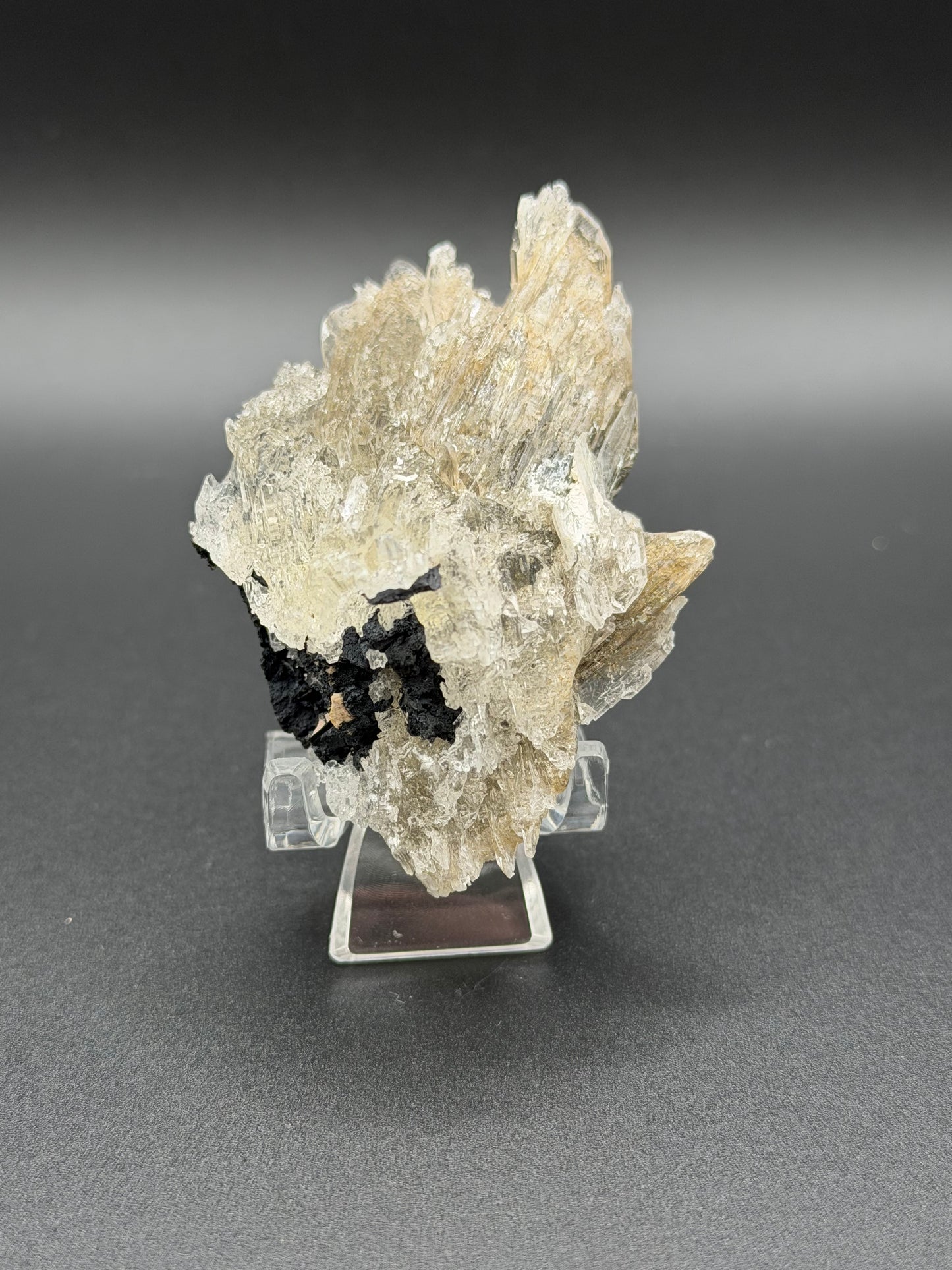Mexican Selenite