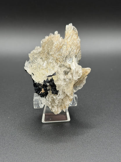 Mexican Selenite