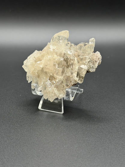 Mexican Selenite