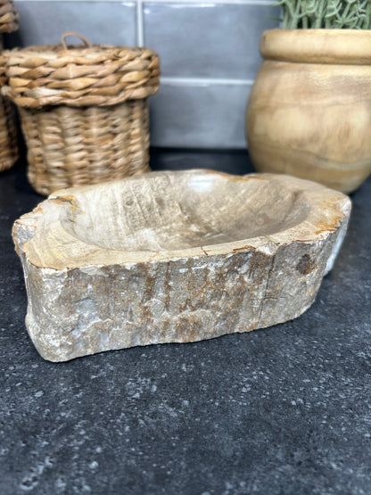Petrified Wood Bowl
