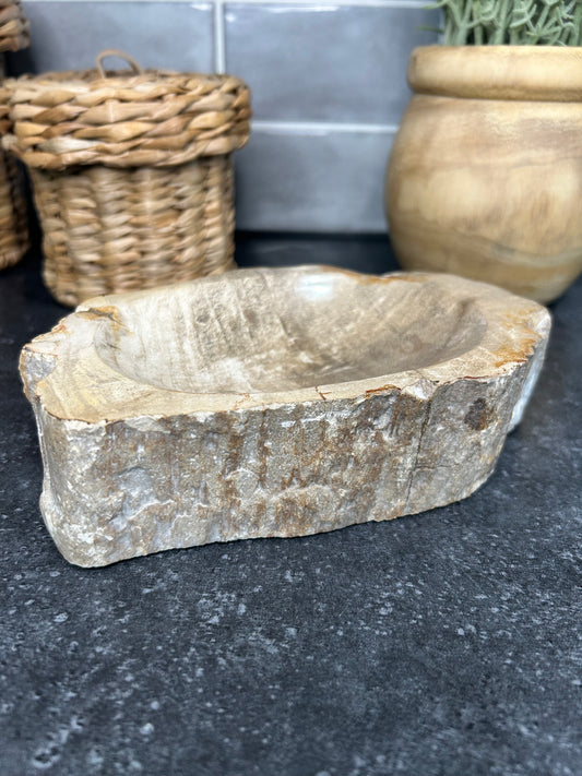 Petrified Wood Bowl