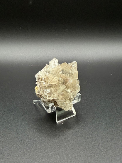 Mexican Selenite