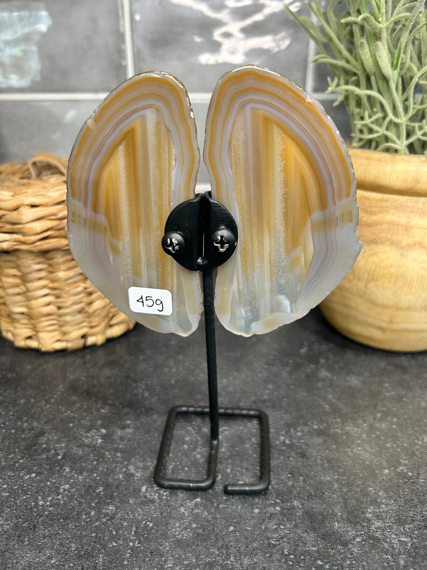 Banded Agate Wings