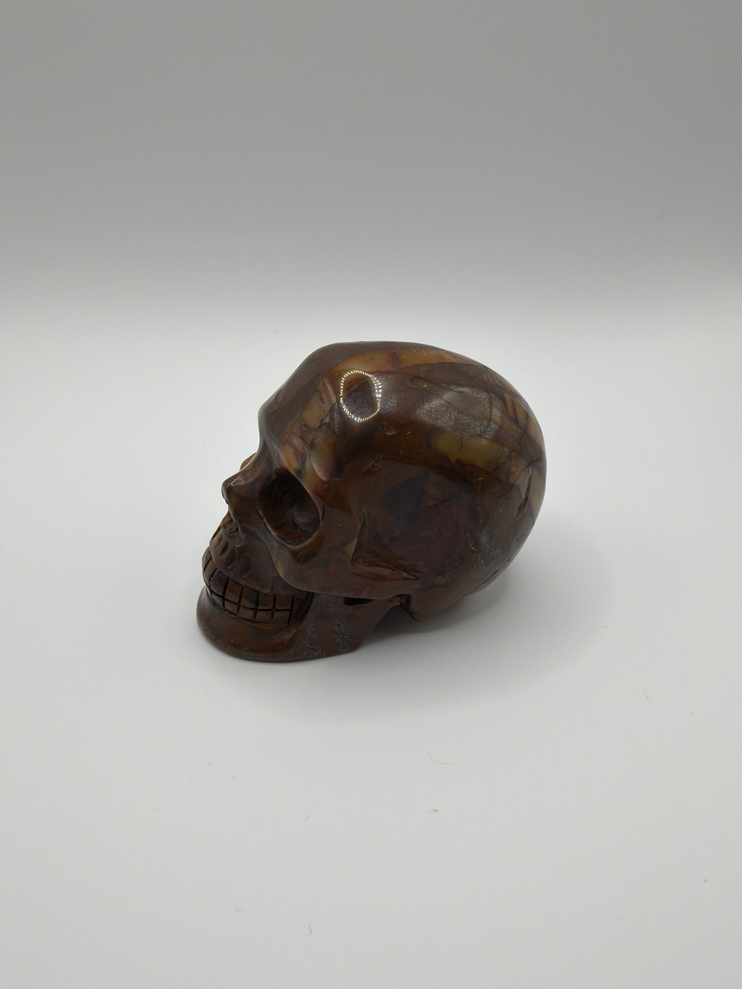 Golden Pietersite Skull