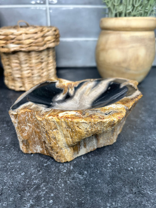 Petrified Wood Bowl