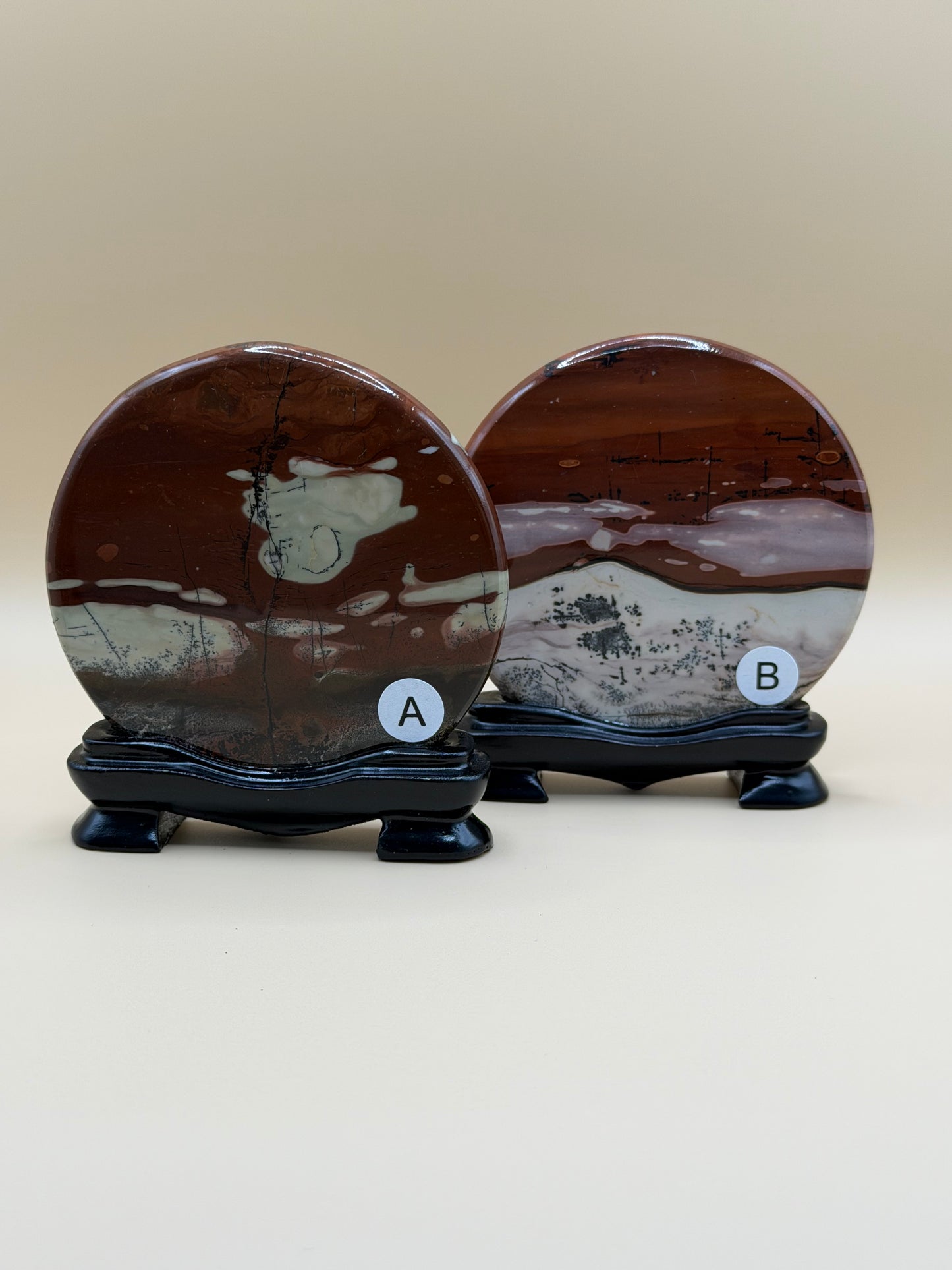 Picture Jasper Medallion