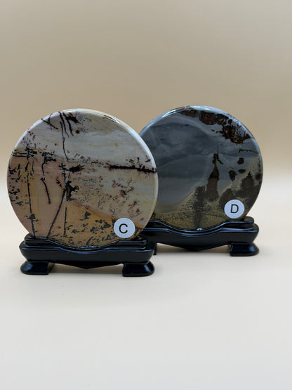 Picture Jasper Medallion