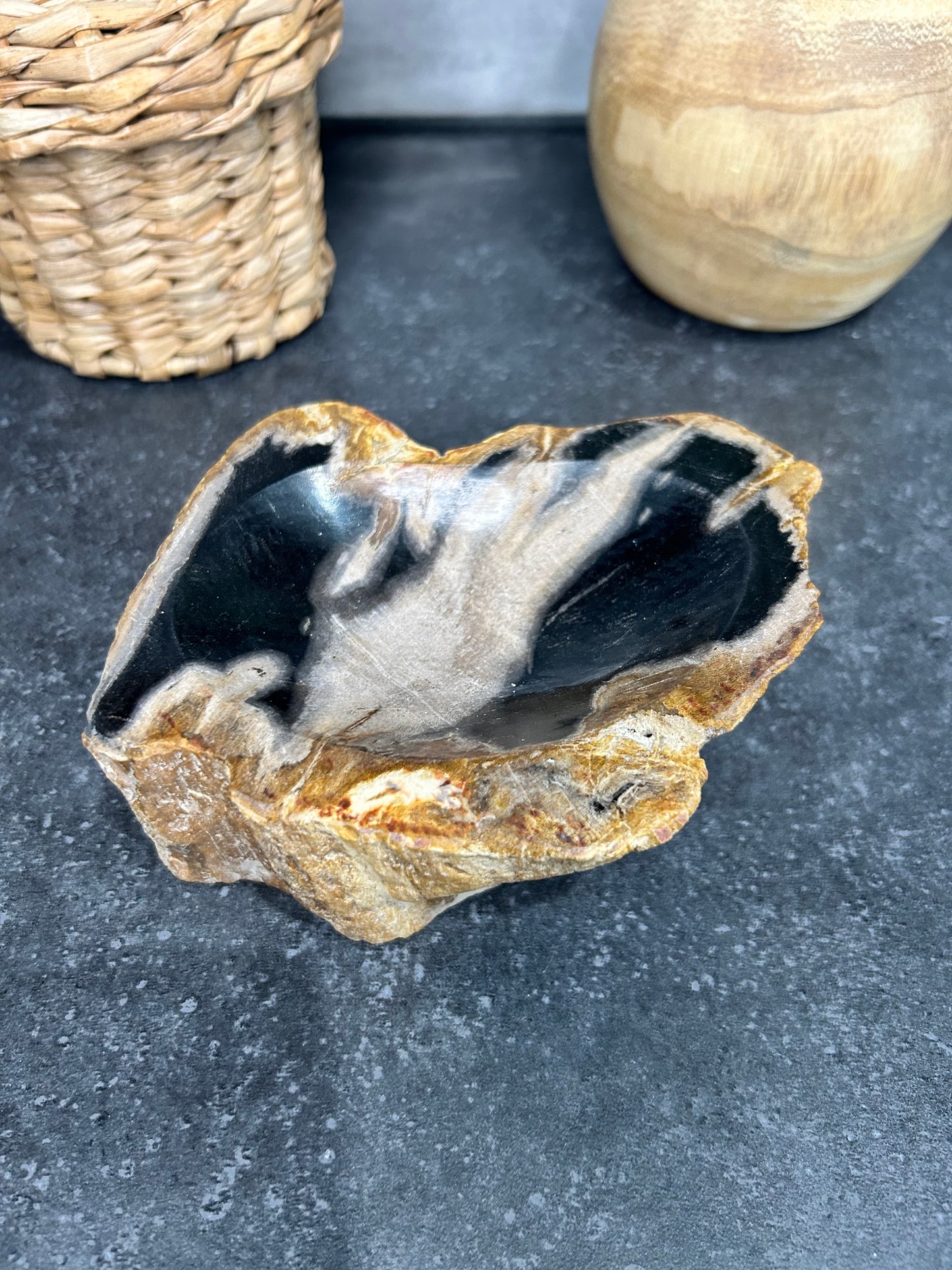 Petrified Wood Bowl