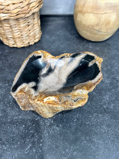 Petrified Wood Bowl