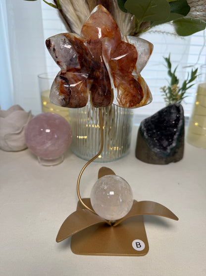 Fire Quartz Orchid | Option A