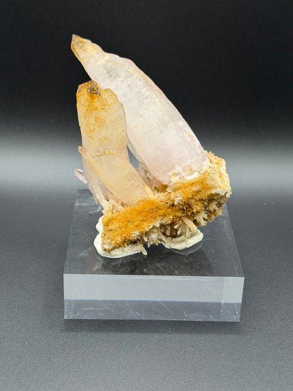 Skeletal Amethyst