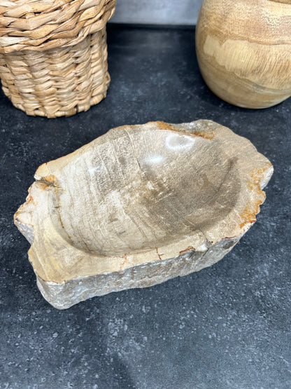 Petrified Wood Bowl