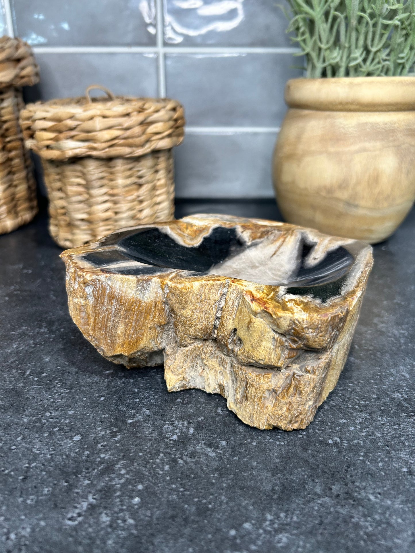 Petrified Wood Bowl