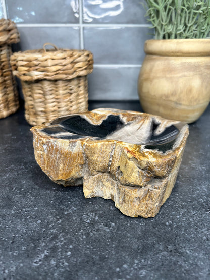 Petrified Wood Bowl
