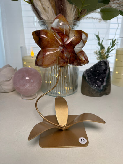 Fire Quartz Orchid | Option D