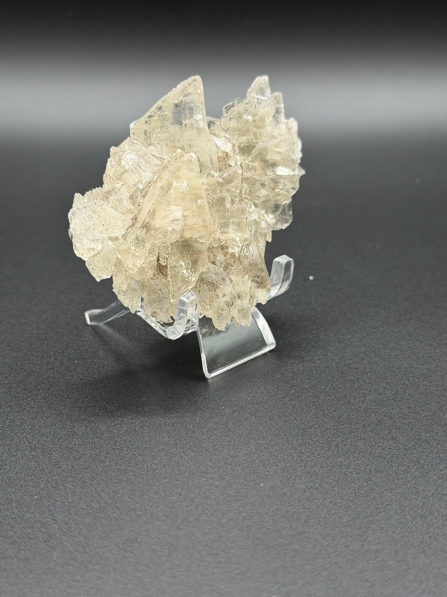 Mexican Selenite