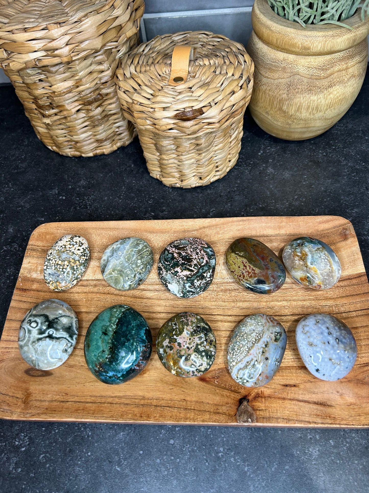 Ocean Jasper Palms