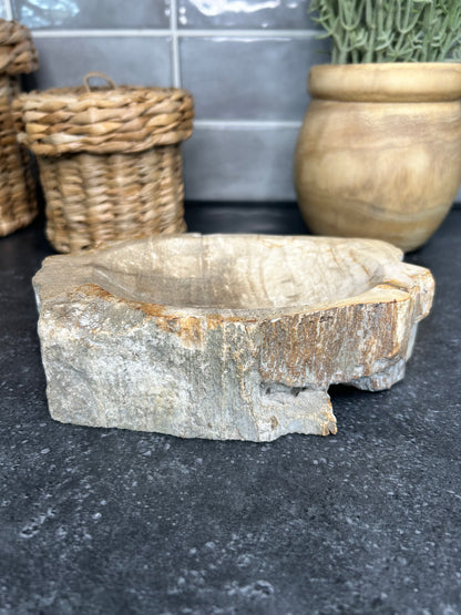 Petrified Wood Bowl