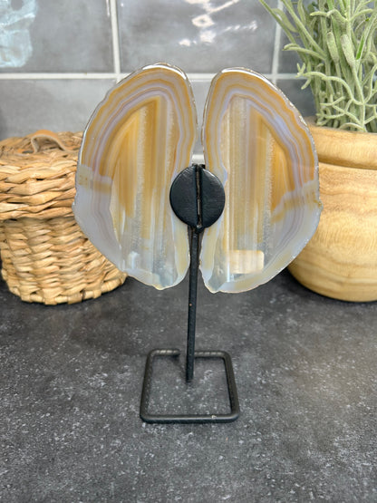 Banded Agate Wings