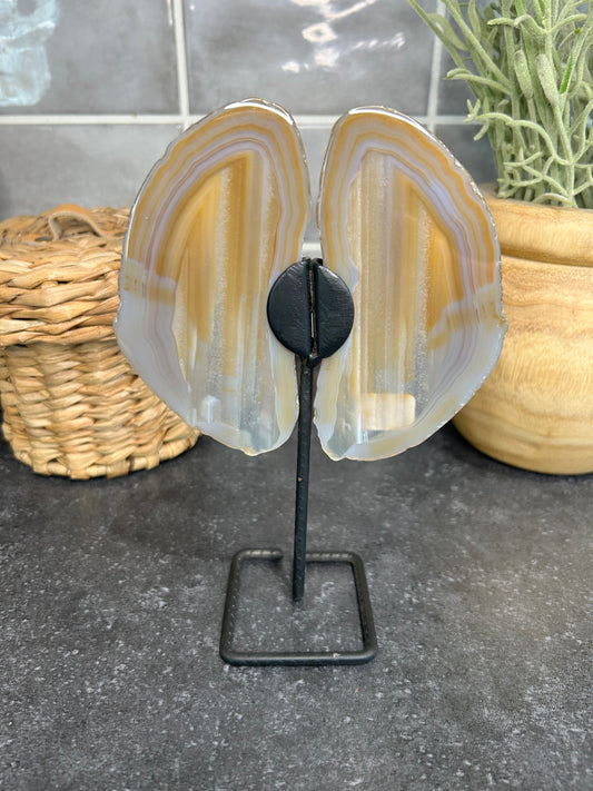 Banded Agate Wings
