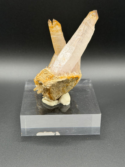 Skeletal Amethyst