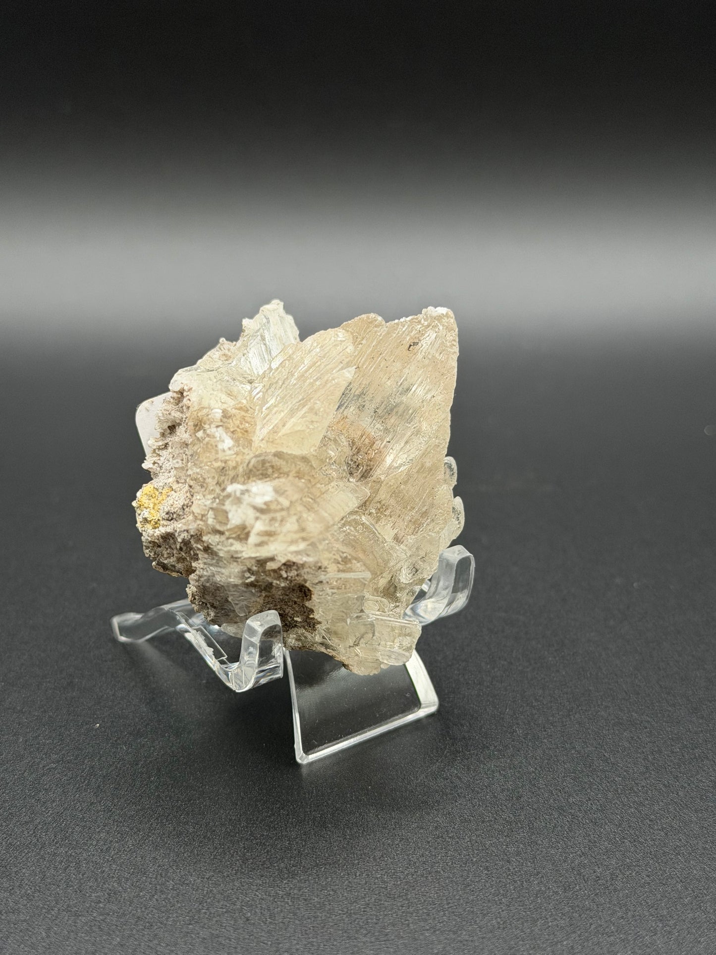 Mexican Selenite