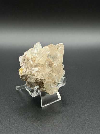 Mexican Selenite