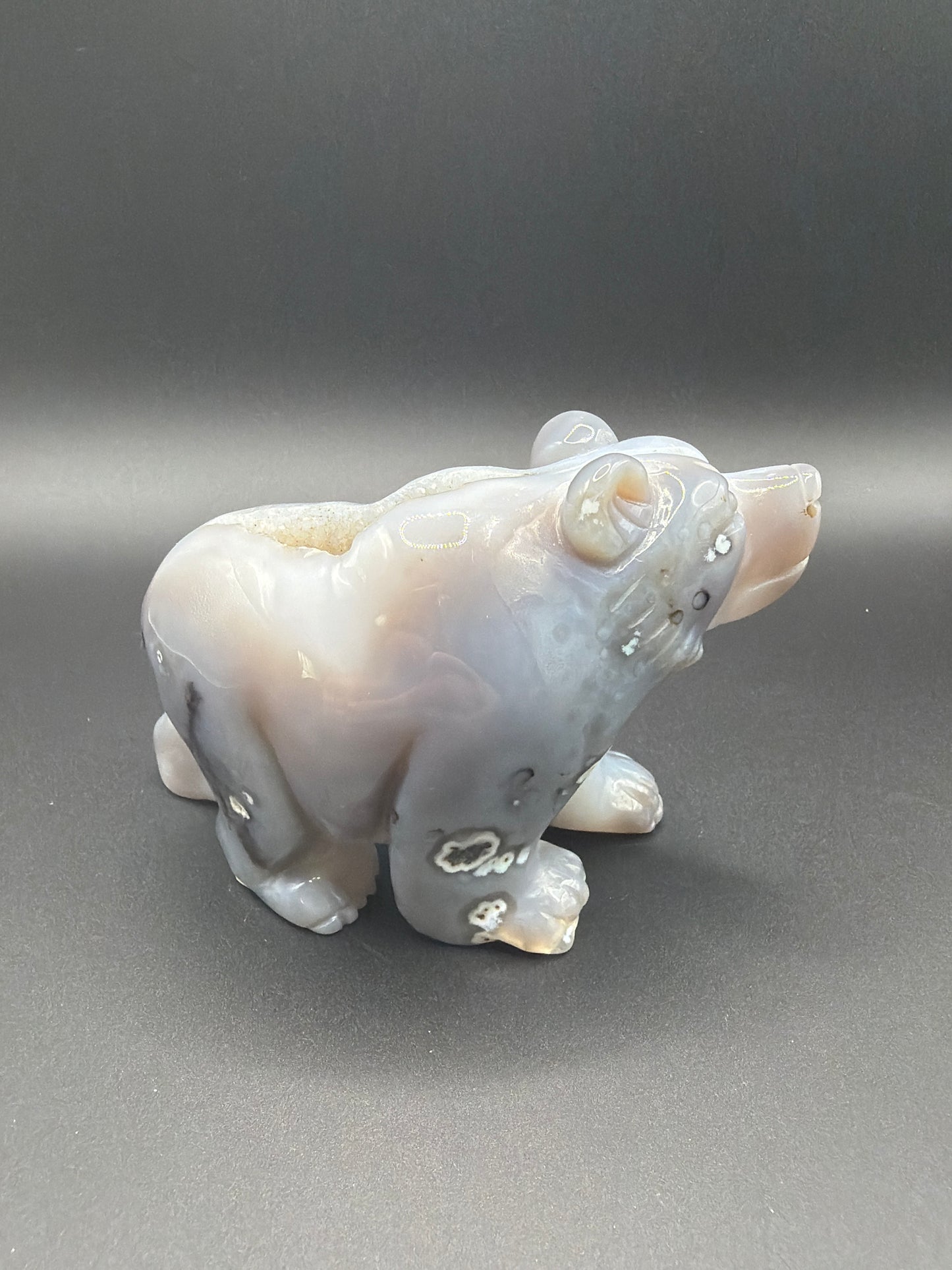 Druzy Agate Bear
