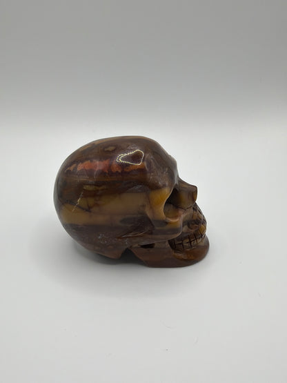 Golden Pietersite Skull
