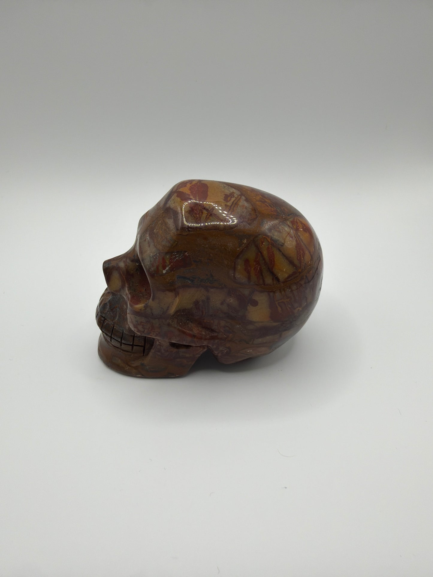 Golden Pietersite Skull