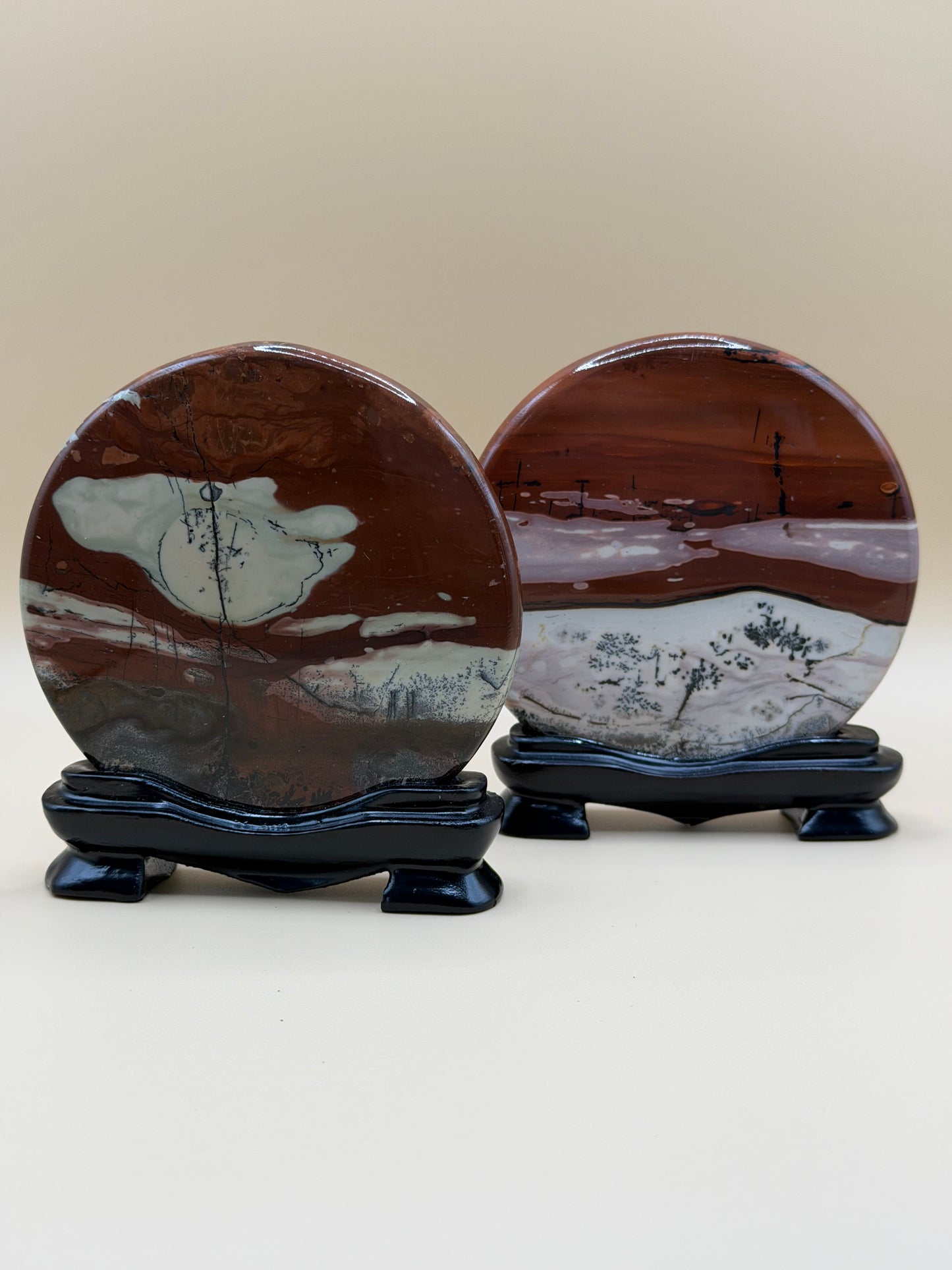 Picture Jasper Medallion