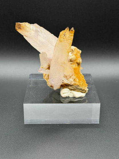 Skeletal Amethyst