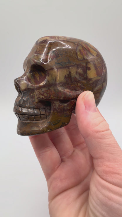 Golden Pietersite Skull