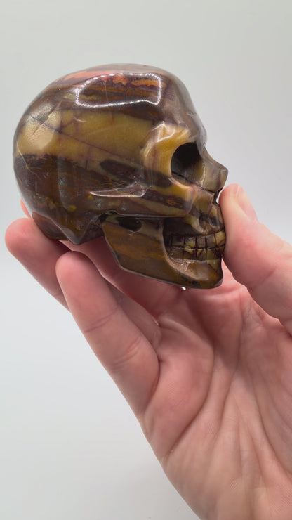 Golden Pietersite Skull